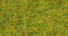 08310 Strooigras zomerweide, 2,5mm, 20gr.