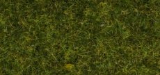 08312 Strooigras weide, 2,5mm, 20gr.