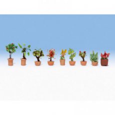 14082 14082 Ornamental plants in flower pots.