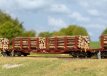 47154 47154 HO Set rongenwagons voor hout-transport, V.